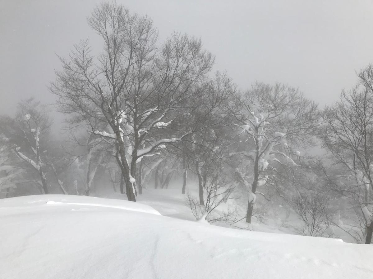 Hakuba Lodge Omusubi Otari المظهر الخارجي الصورة